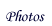 Lien vers la galerie photos